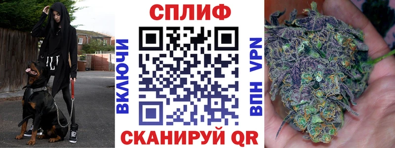 Конопля марихуана кракен зеркало Алупка